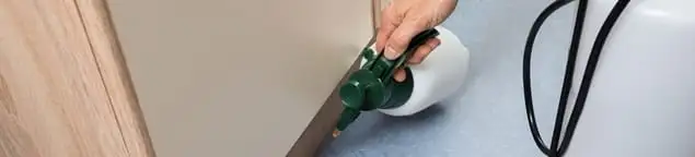 Bed bug exterminator treating baseboards and cracks with targeted spray in Boca Raton, FL