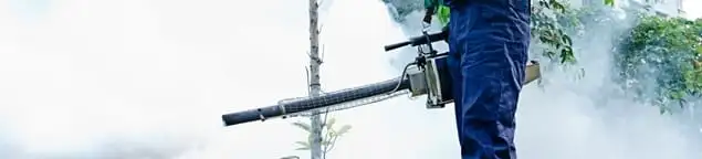 Pest control technician fogging an outdoor area for insect control in Boca Raton, FL