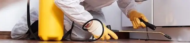 Roach exterminator treating cracks and crevices along kitchen baseboards in Boca Raton, FL