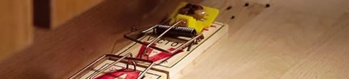 Rodent trap set indoors for rodent control and prevention in Boca Raton, FL